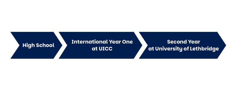 UICC flow chart
